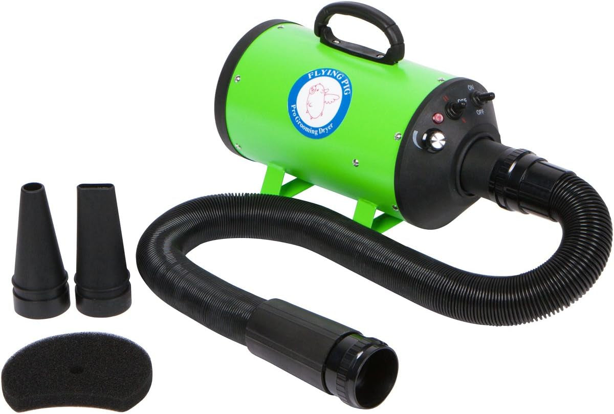 High Velocity Dog Pet Grooming Dryer W/Heater (Model: Flying One, Green)