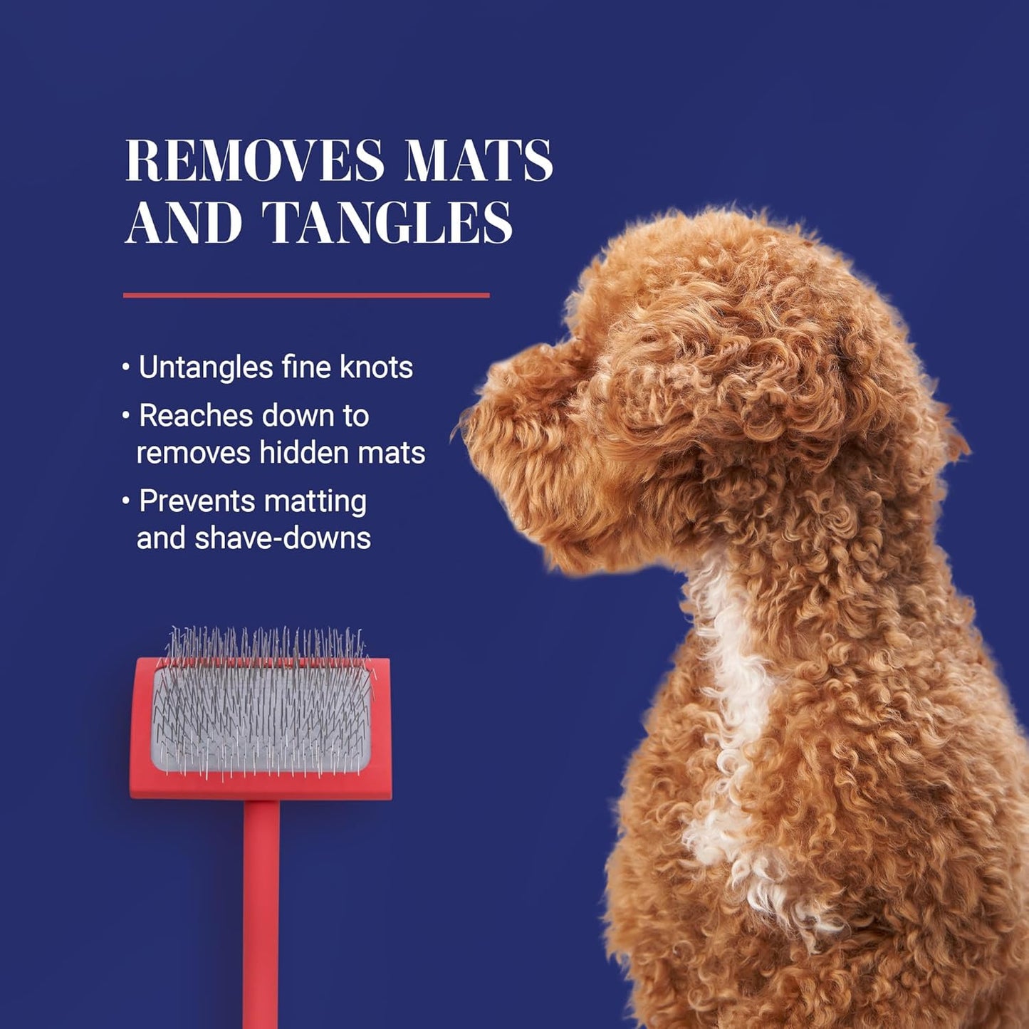 Big G Dog Slicker Brush for Dogs, Groom like a Professional, Fluff Detangle Style, Coral, Large