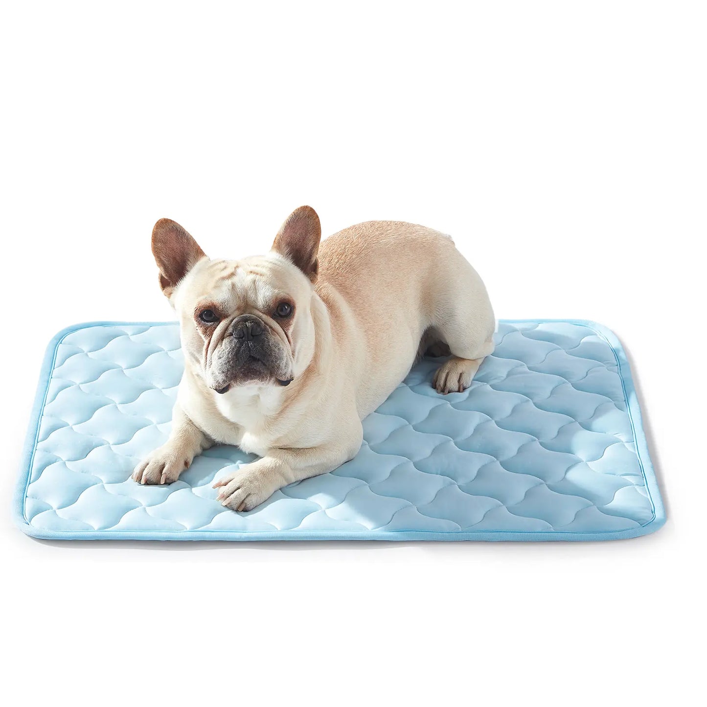 Dog Cooling Pad - Snag Resistant and Machine Washable
