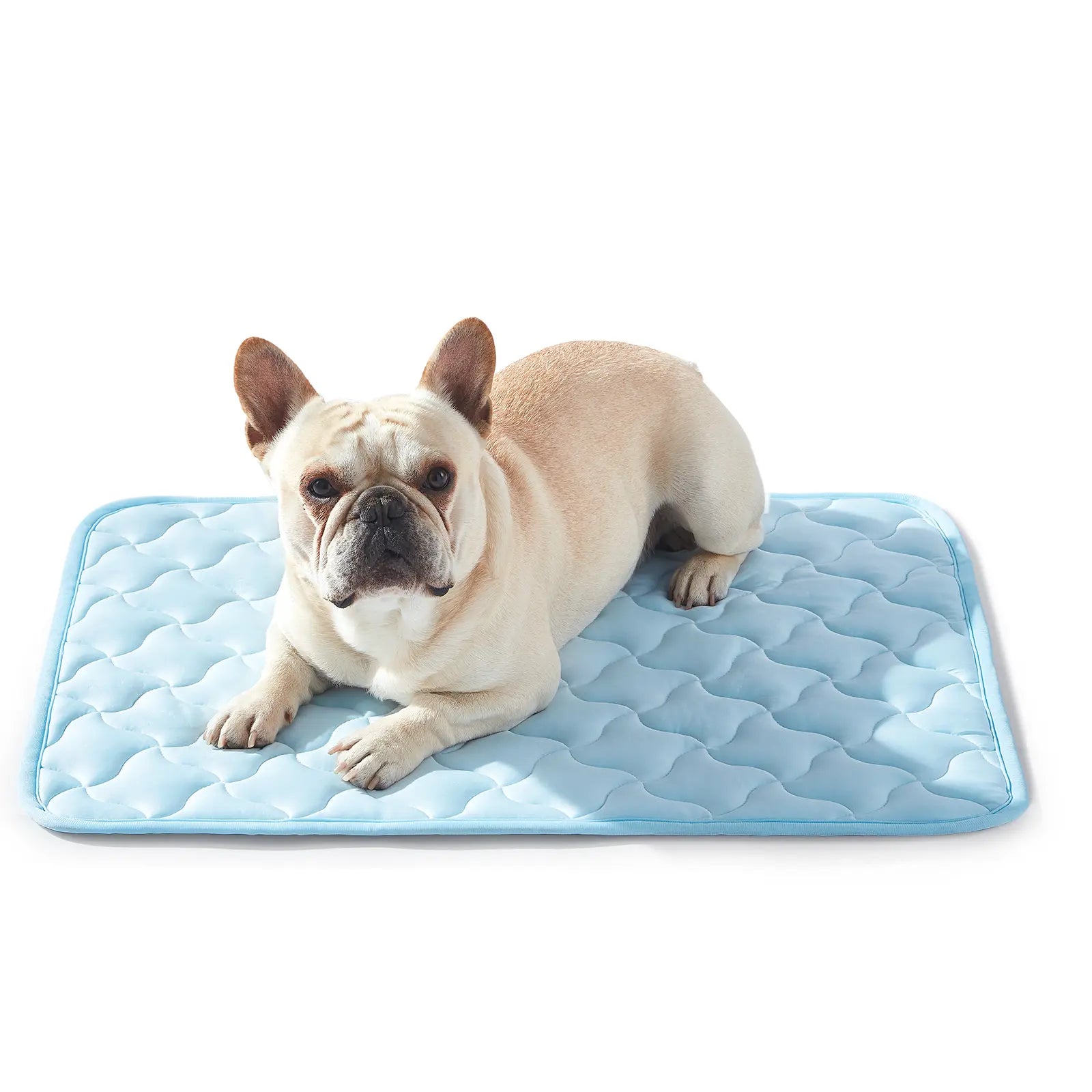 Dog Cooling Pad - Snag Resistant and Machine Washable