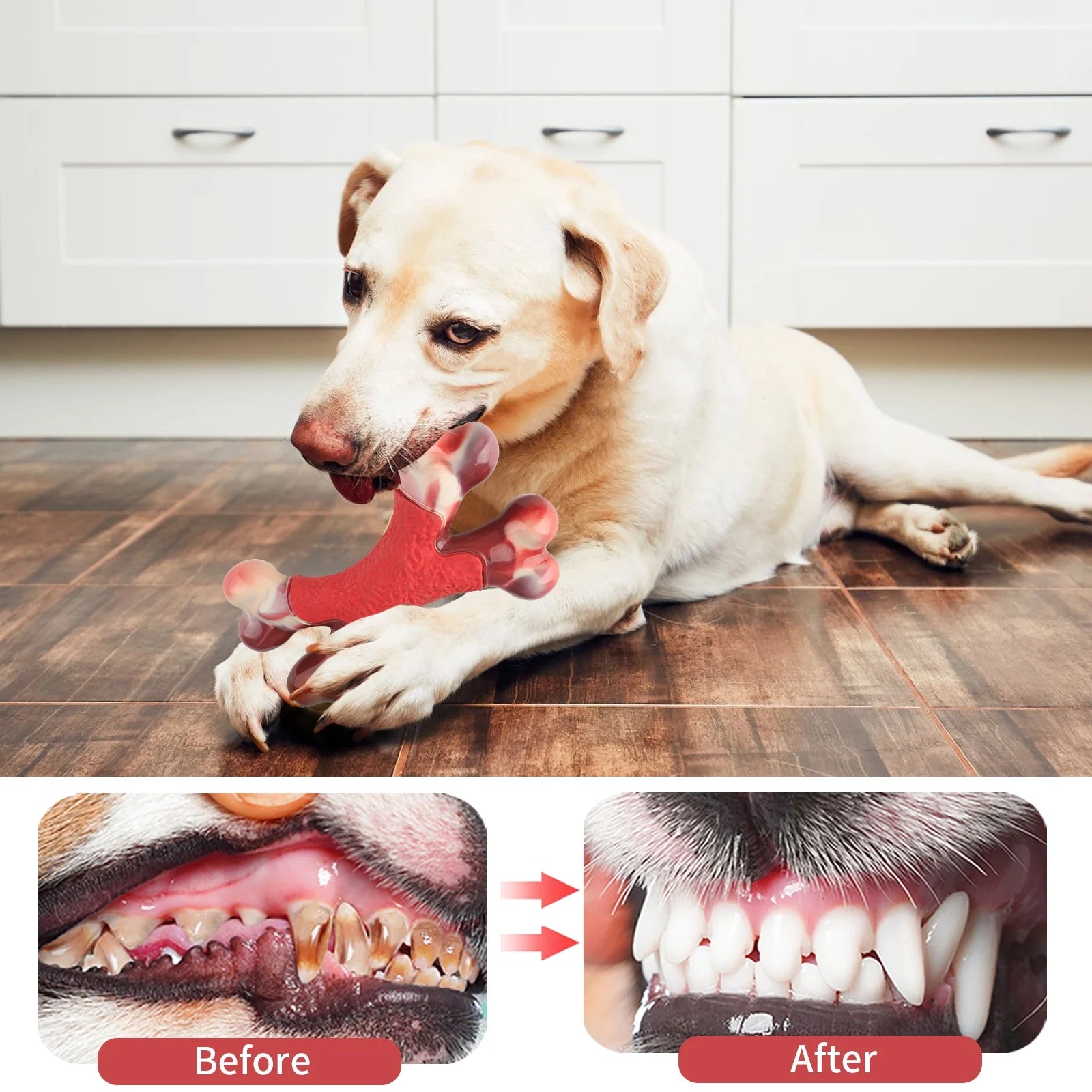 Tough Dog Bone Toy, Durable Nylon Dog Teething Chew Toys for Large/Medium Dogs