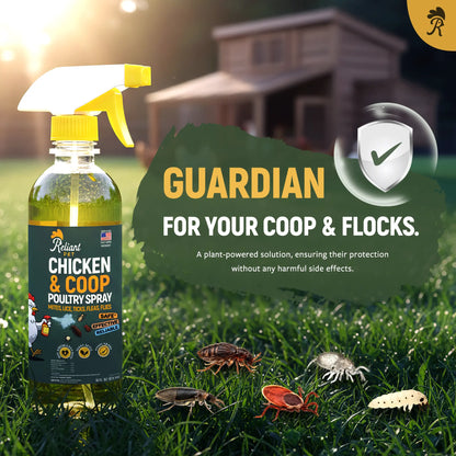 Reliant Pet Chicken & Coop Poultry Spray for Mites, Lice, Ticks, Fleas and Flies 