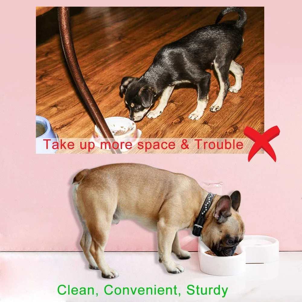 Pet Bowl - Home Automatic Water Dispenser Cats, Dogs, Easy Clean Food Dish