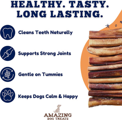 - 6 Inch Medium Size Bully Sticks (25 Count) - No Hide Bully Stick Dog Bones