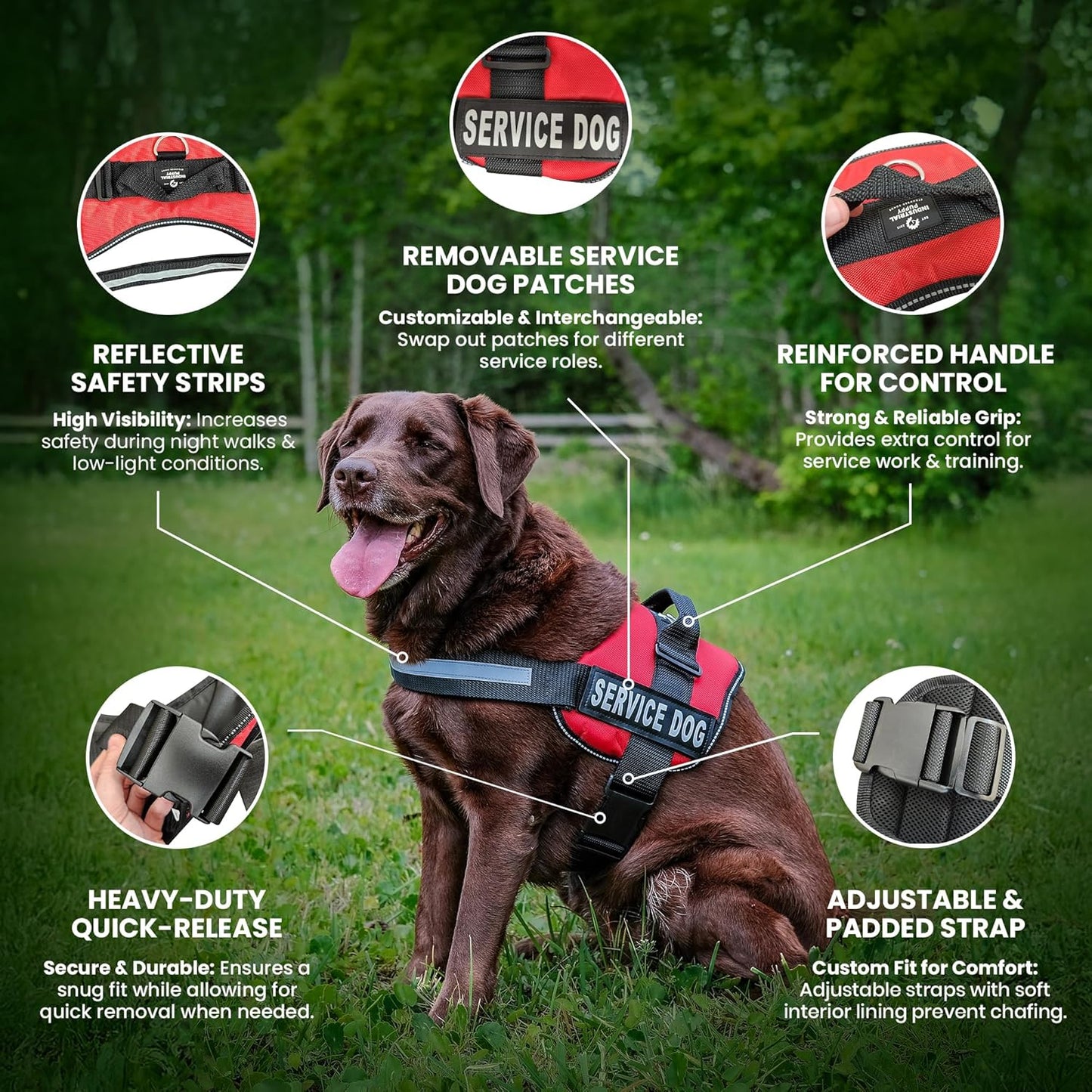 Service Dog Vest with Hook and Loop Straps and Matching Service Dog Leash Set - XL - Harness Features Reflective Patch and Comfortable Mesh Design