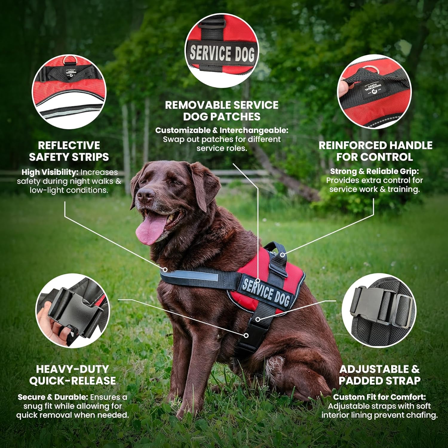 Service Dog Vest with Hook and Loop Straps and Matching Service Dog Leash Set - XL - Harness Features Reflective Patch and Comfortable Mesh Design