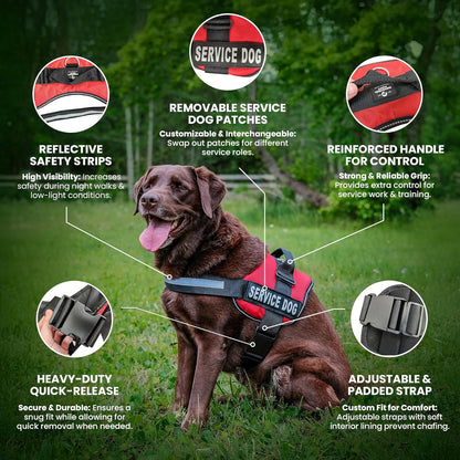 Service Dog Vest with Hook and Loop Straps and Matching Service Dog Leash Set - XL - Harness Features Reflective Patch and Comfortable Mesh Design