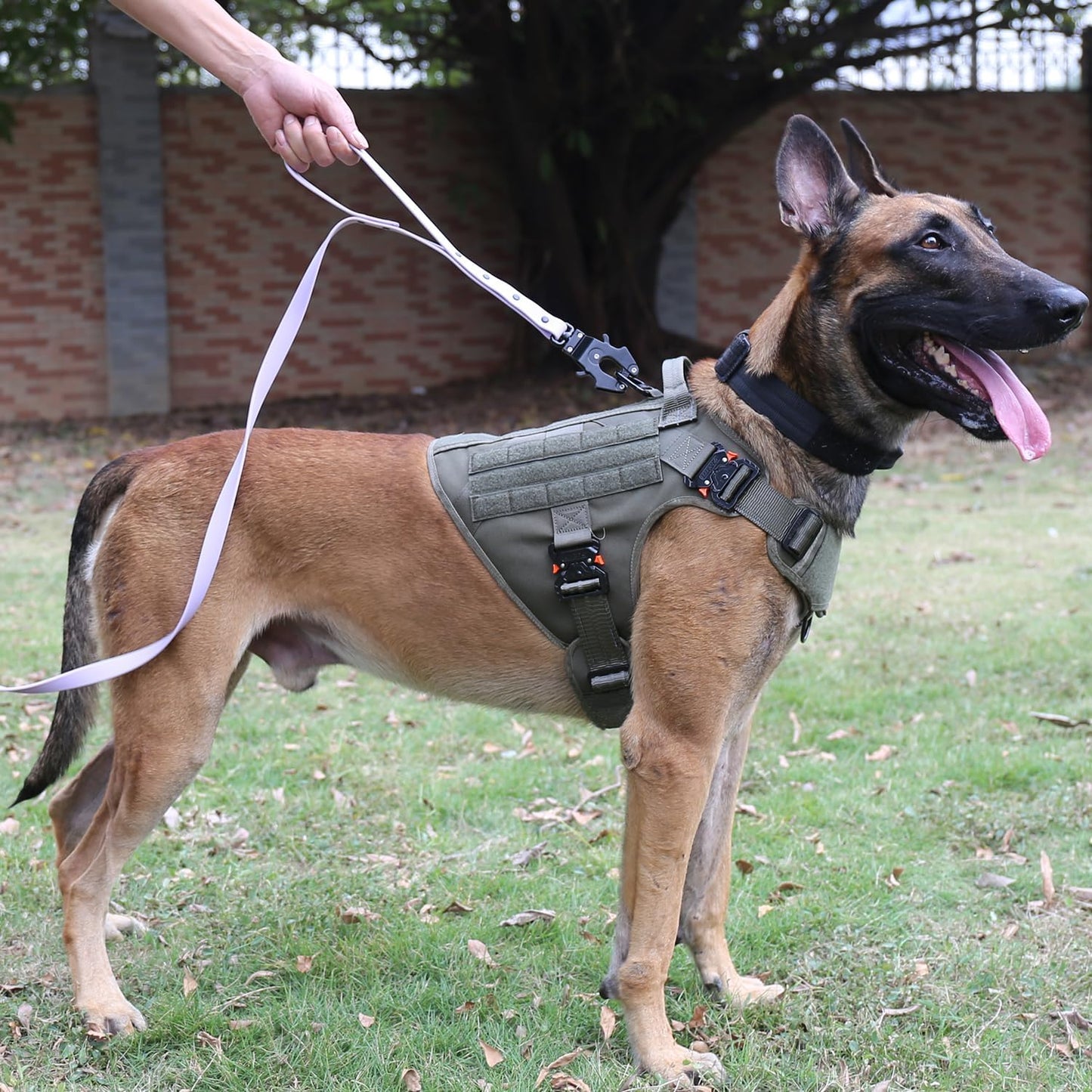 Tactical Dog Harness with Metal Buckles and MOLLE System, Adjustable No-Pull Vest for Large Working Dogs (Size L: 28"-35" Chest), Green