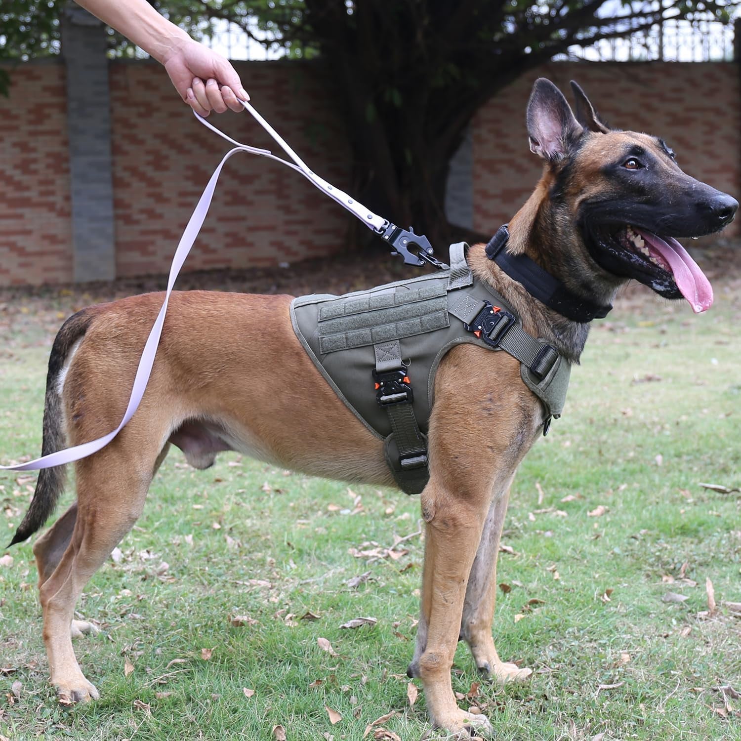 Tactical Dog Harness with Metal Buckles and MOLLE System, Adjustable No-Pull Vest for Large Working Dogs (Size L: 28"-35" Chest), Green