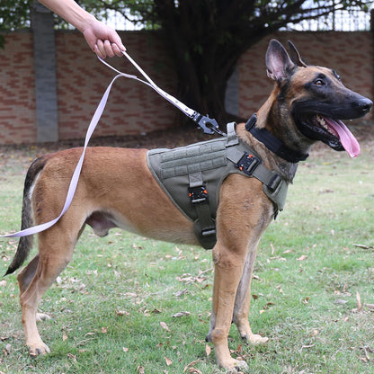 Tactical Dog Harness with Metal Buckles and MOLLE System, Adjustable No-Pull Vest for Large Working Dogs (Size L: 28"-35" Chest), Green