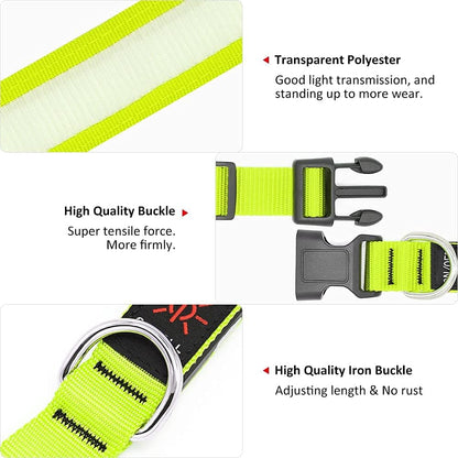 Light up Dog Collars - Rechargeable LED Dog Collar (Neon Green, Large)