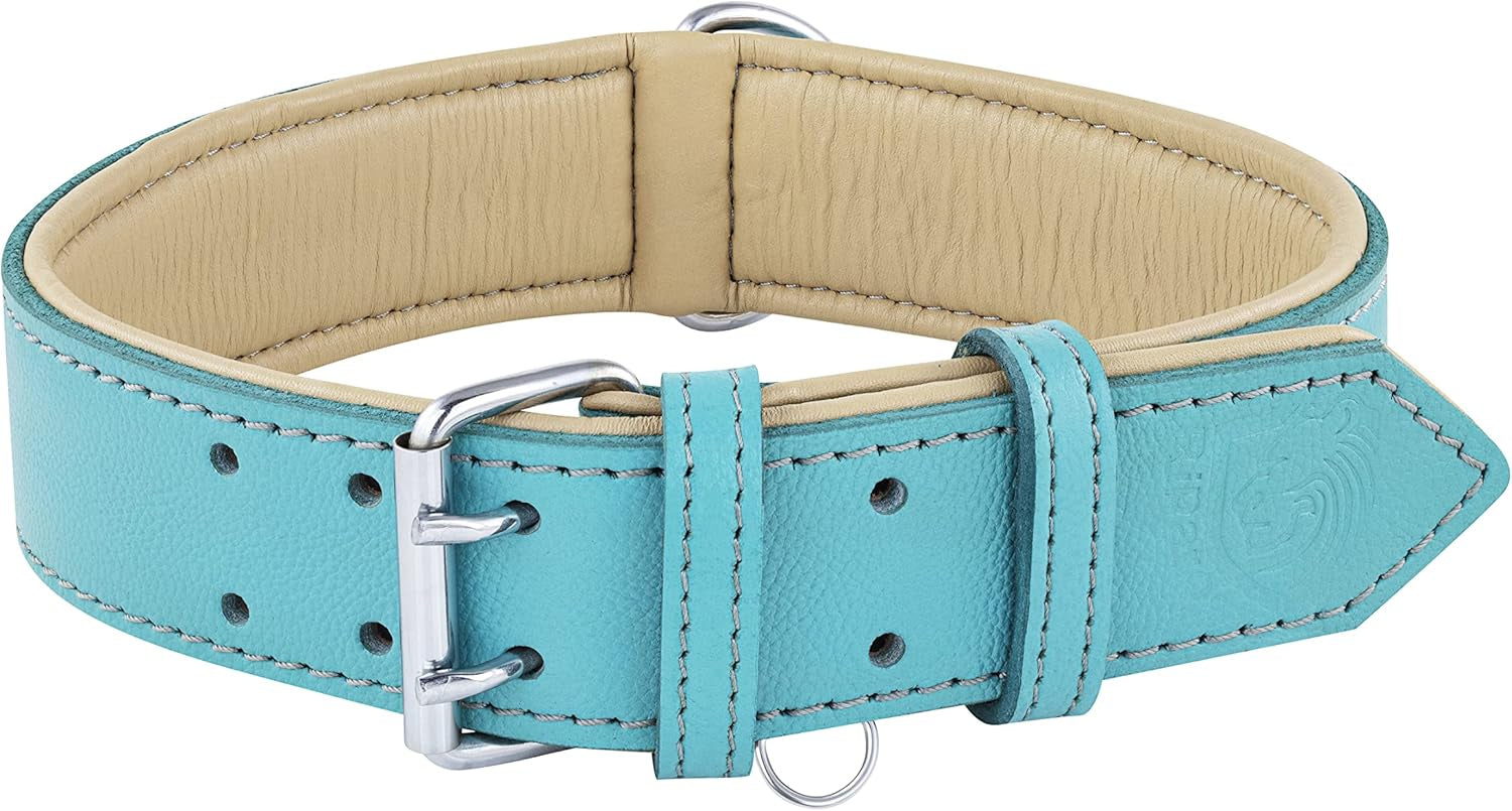 Riparo Dog Collars for Medium Dogs, Genuine Leather Dog Collar (M: 1" Wide for 13.5”-17.5” Neck, Aqua)