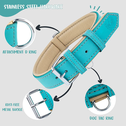 Riparo Dog Collars for Medium Dogs, Genuine Leather Dog Collar (M: 1" Wide for 13.5”-17.5” Neck, Aqua)