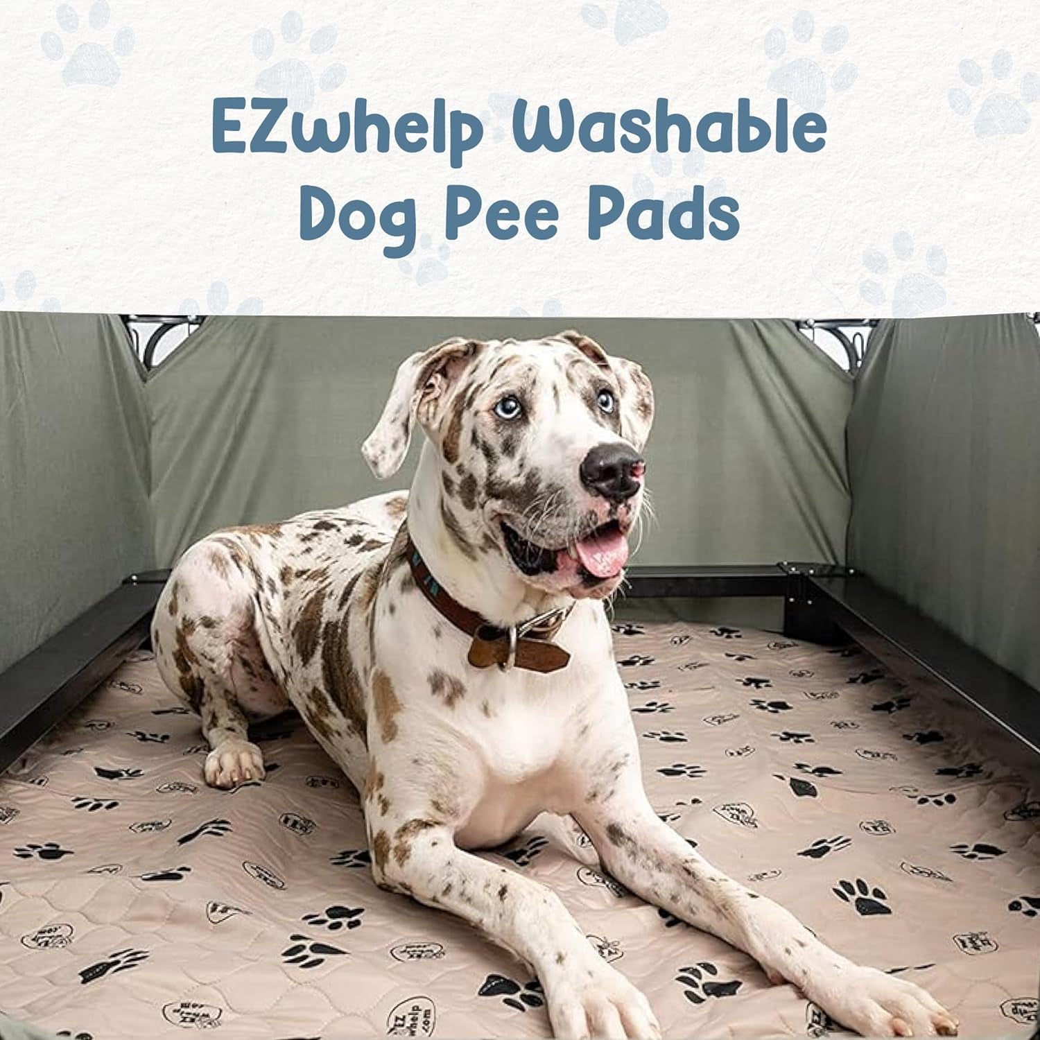 Premium Reusable Dog Pee Pads - Washable Waterproof Potty Training Mats, 2 Pack (16.5x19.5 Inch) with Rounded Corners