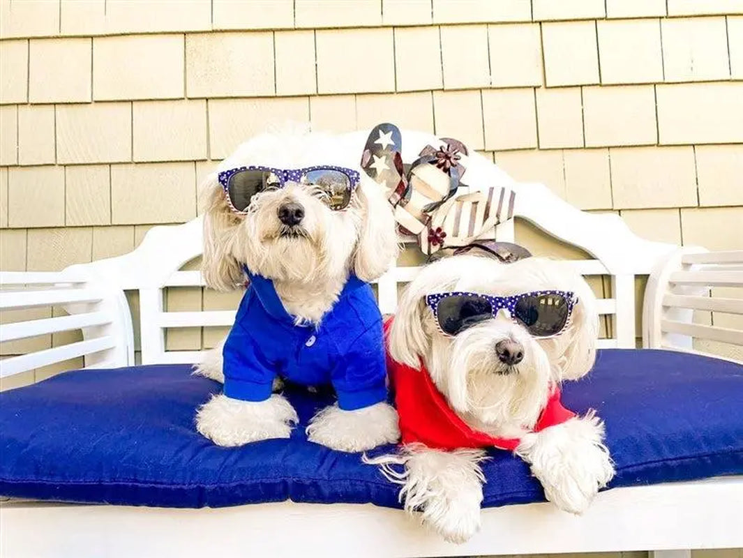 Parisian Pet 'Polo' Pet T-Shirt – Comfortable & Lightweight 