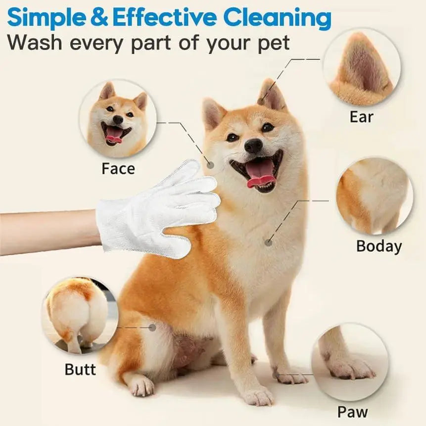 Pet Cleaning Gloves No-Rinse Wipes for Pets 6 Single -Apple Oil Magic Summervibes