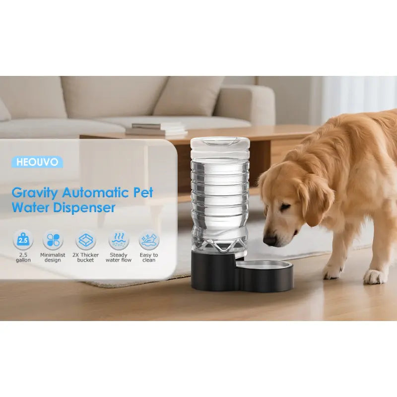 2.5 Gallon Automatic Dog Water Dispenser [Removable Stainless Steel Bowl], Gravity Refilling Large Capacity
