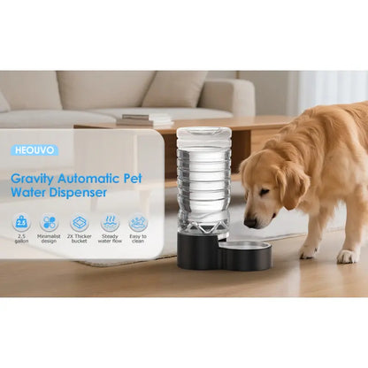 2.5 Gallon Automatic Dog Water Dispenser [Removable Stainless Steel Bowl], Gravity Refilling Large Capacity