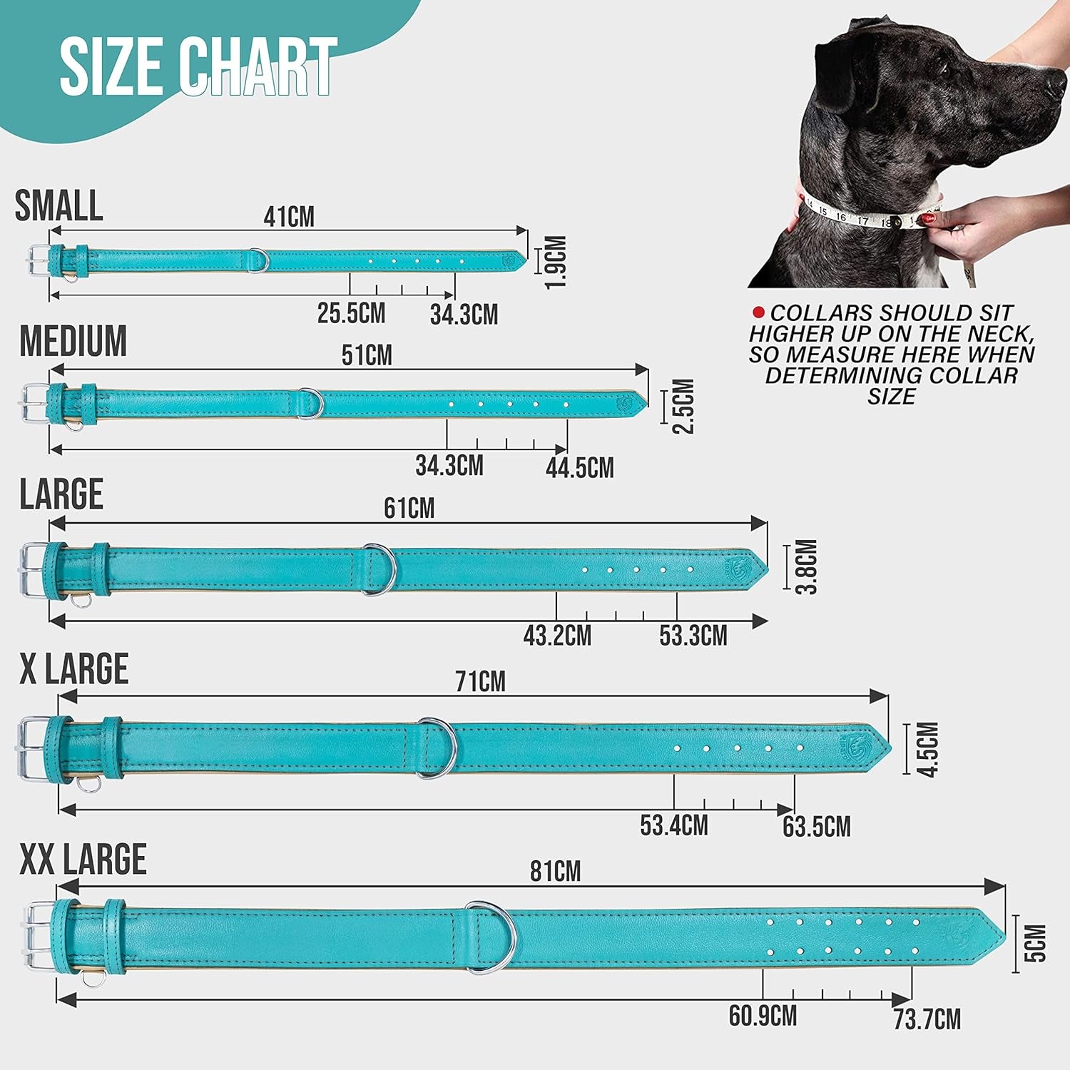 Riparo Dog Collars for Medium Dogs, Genuine Leather Dog Collar (M: 1" Wide for 13.5”-17.5” Neck, Aqua)