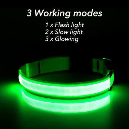 Light Up Safety Dog Collar, Rechargeable LED Dog Collar (Neon Green, Medium)
