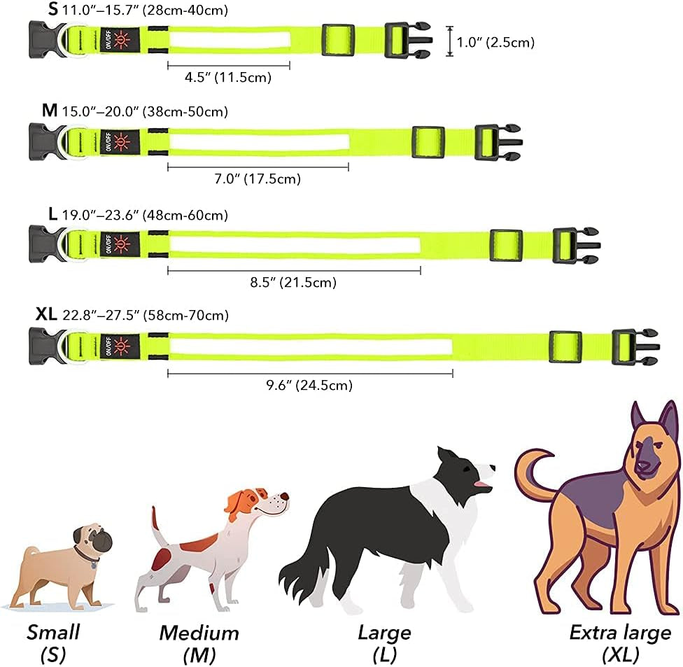 Light Up Safety Dog Collar, Rechargeable LED Dog Collar (Neon Green, Medium)