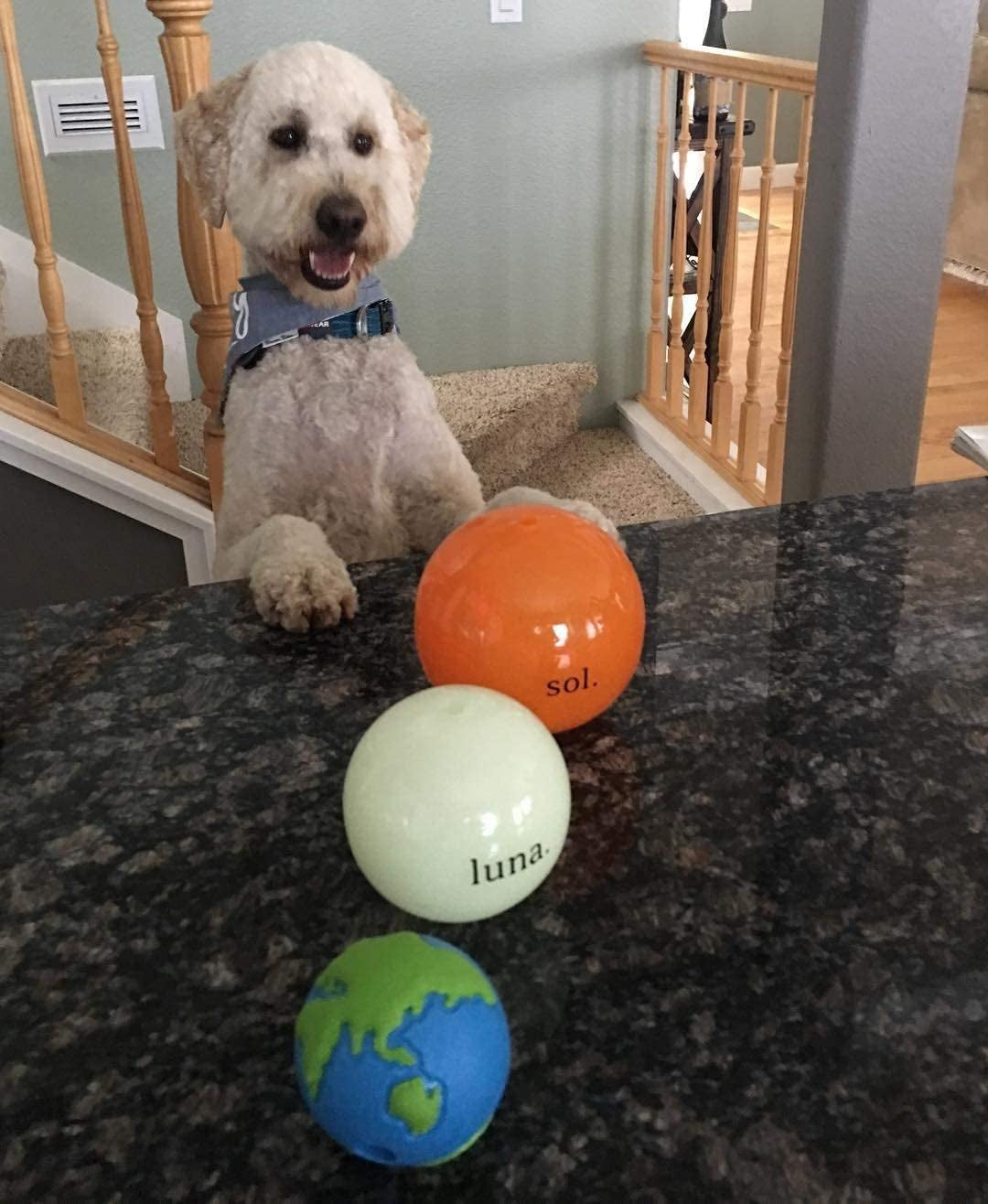 Orbee-Tuff Planet Ball - Blue/Green Medium Treat-Dispensing Dog Toy
