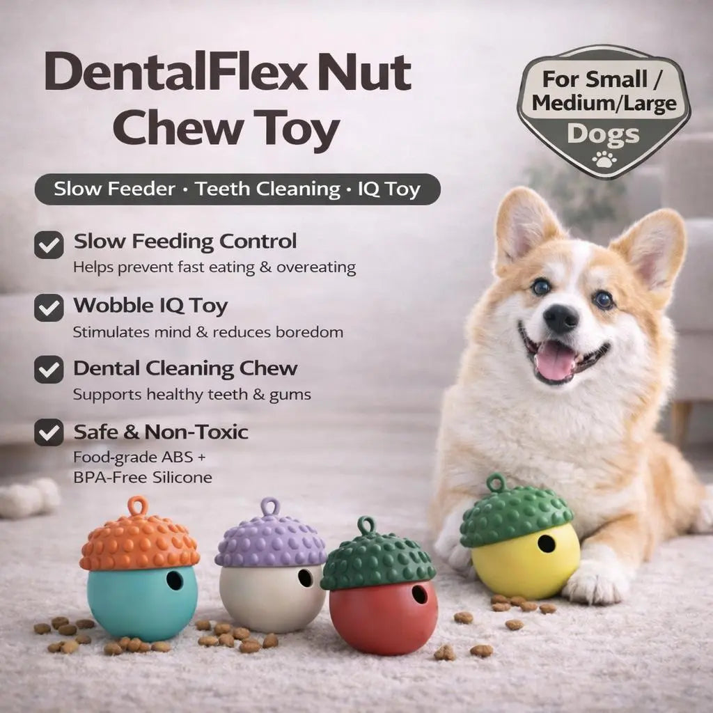 Dog Chew Toy | Slow Feeder to Reduce Bloating & Clean Teeth | Safe, Durable & Dishwasher Safe