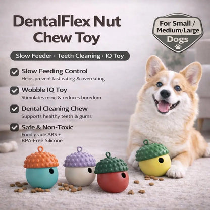 Dog Chew Toy | Slow Feeder to Reduce Bloating & Clean Teeth | Safe, Durable & Dishwasher Safe