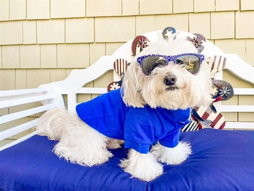 Parisian Pet 'Polo' Pet T-Shirt – Comfortable & Lightweight 