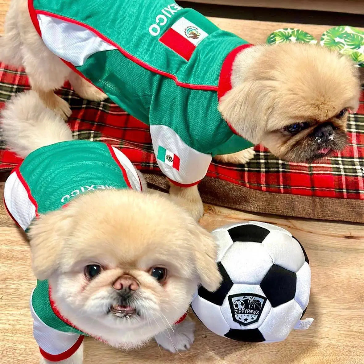 Parisian Pet 'Team Mexico' Dog & Cat T-Shirt – Red, White, Green