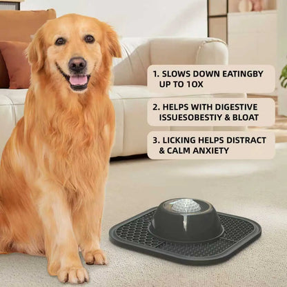 Slow Feeder and Liquid Treat, Bone Broth Dog Lick Bowl