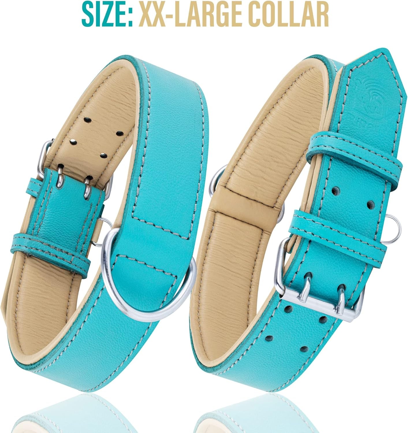 Riparo Dog Collars for Medium Dogs, Genuine Leather Dog Collar (M: 1" Wide for 13.5”-17.5” Neck, Aqua)