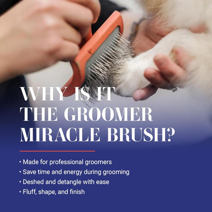 Big G Dog Slicker Brush for Dogs, Groom like a Professional, Fluff Detangle Style, Coral, Large