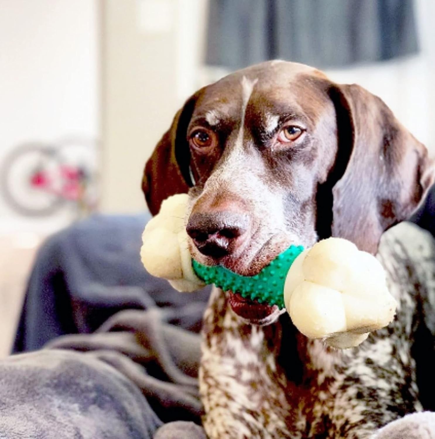 Bone Power Chew Toy for Dogs- Bacon Flavor, X-Large 