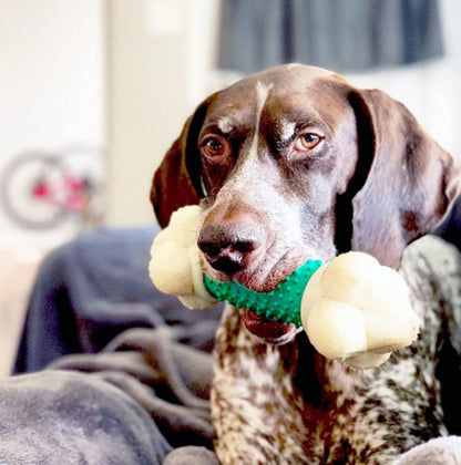 Bone Power Chew Toy for Dogs- Bacon Flavor, X-Large 