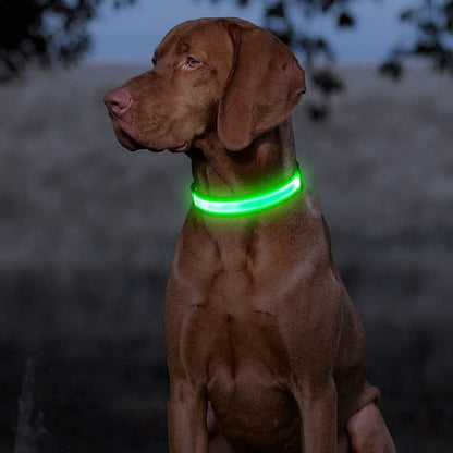 Light up Dog Collars - Rechargeable LED Dog Collar (Neon Green, Large)