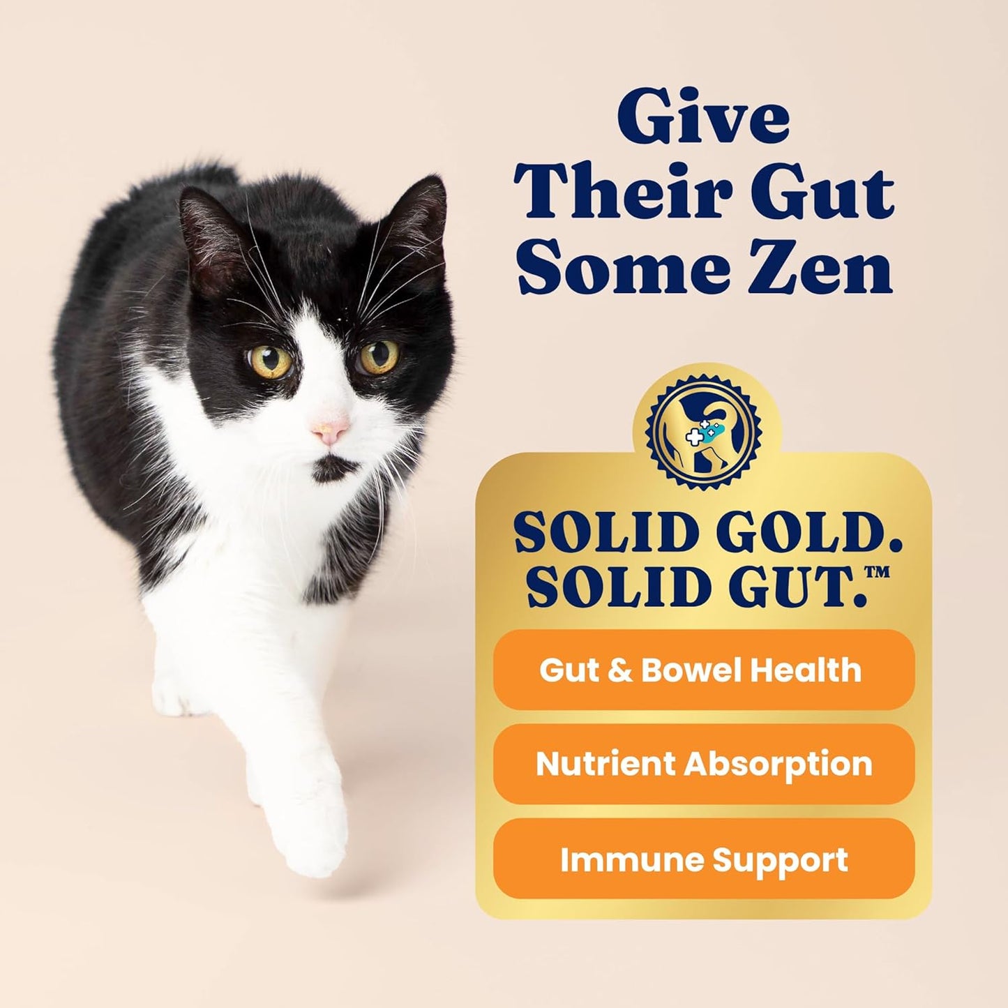 Solid Gold Indoor Dry Cat Food - Grain Free & Gluten Free - Chicken - Sensitive Stomach & Hairball Support for Adult Cats - 12LB