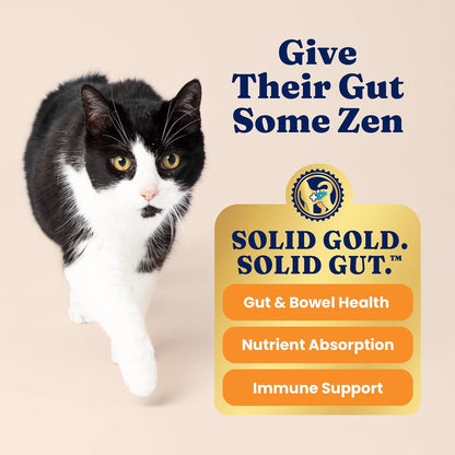 Solid Gold Indoor Dry Cat Food - Grain Free & Gluten Free - Chicken - Sensitive Stomach & Hairball Support for Adult Cats - 12LB