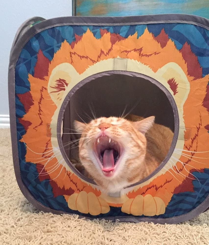 Safari Jungle Cat Play Set, Collapsible Pop-Up Cat Toys Combo with Cube, Tunnel & Hideout