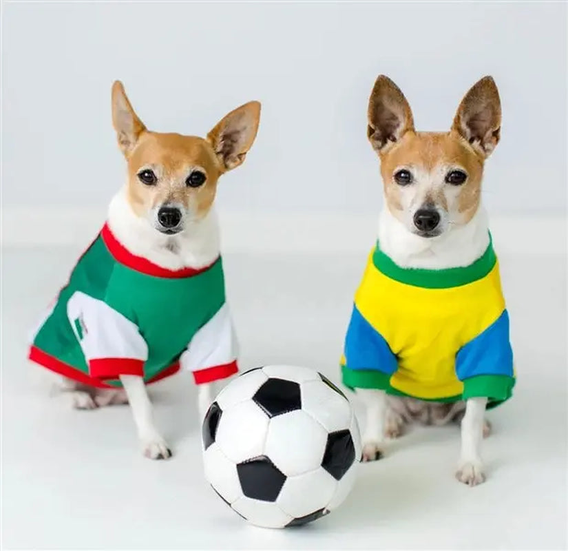 Parisian Pet 'Team Mexico' Dog & Cat T-Shirt – Red, White, Green