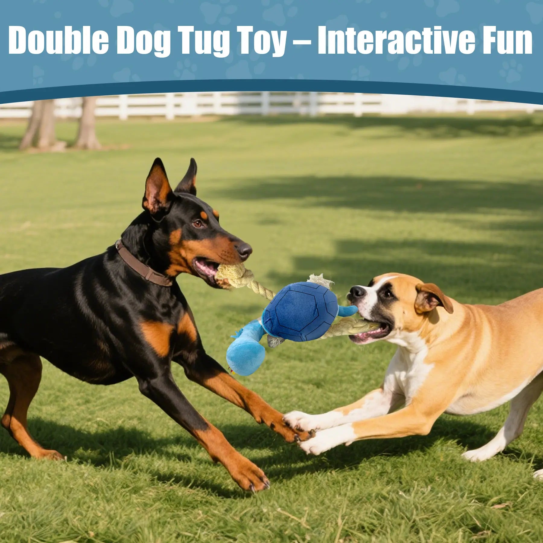 Turtle Squeaky Plush Dog Tug Toy with Rope Limbs  
