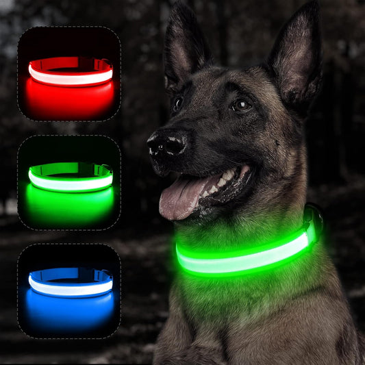 Light Up Safety Dog Collar, Rechargeable LED Dog Collar (Neon Green, Medium)