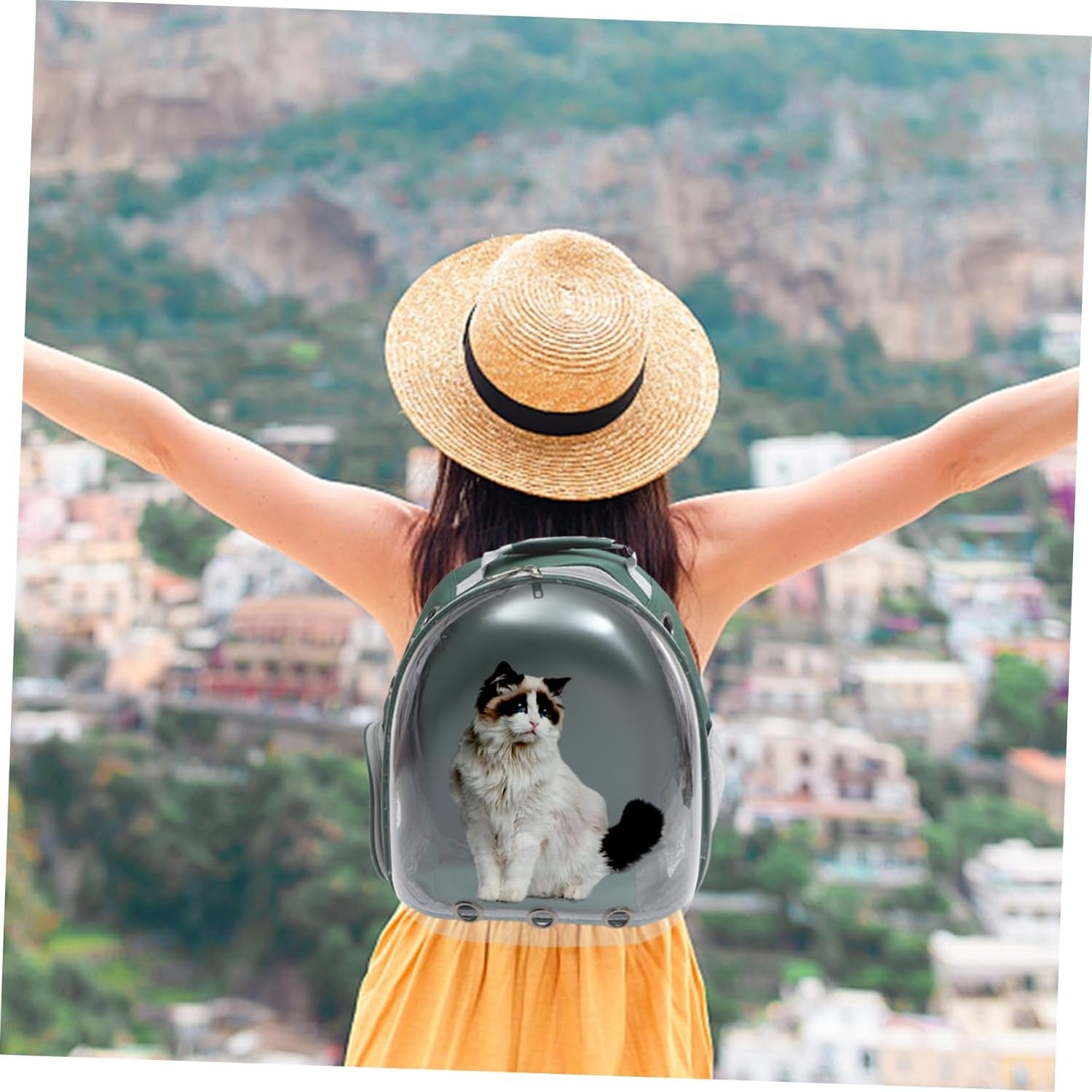 Pet Carrier Mesh Travel Backpack (Dark)