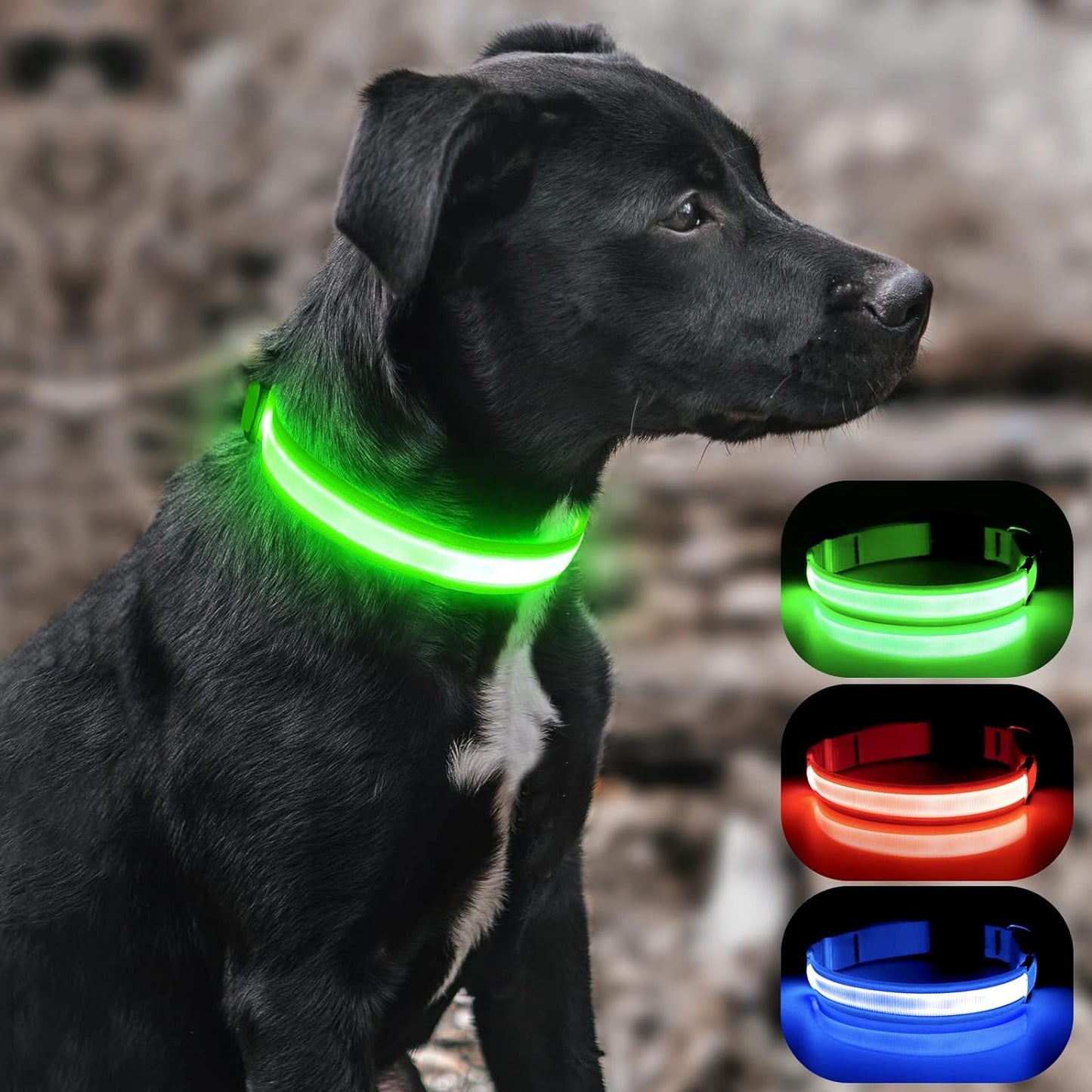 Light up Dog Collars - Rechargeable LED Dog Collar (Neon Green, Large)
