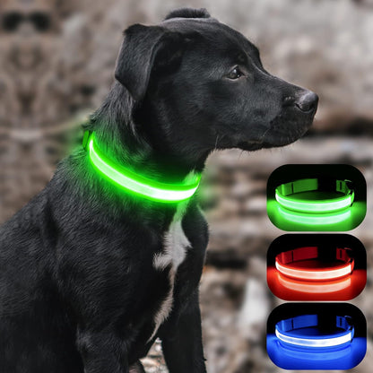 Light up Dog Collars - Rechargeable LED Dog Collar (Neon Green, Large)