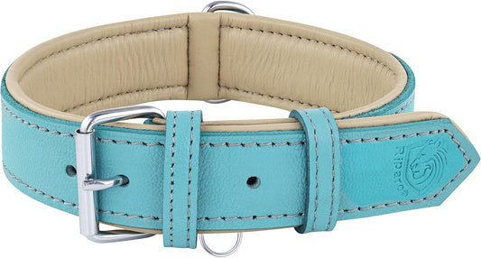 Riparo Dog Collars for Medium Dogs, Genuine Leather Dog Collar (M: 1" Wide for 13.5”-17.5” Neck, Aqua)