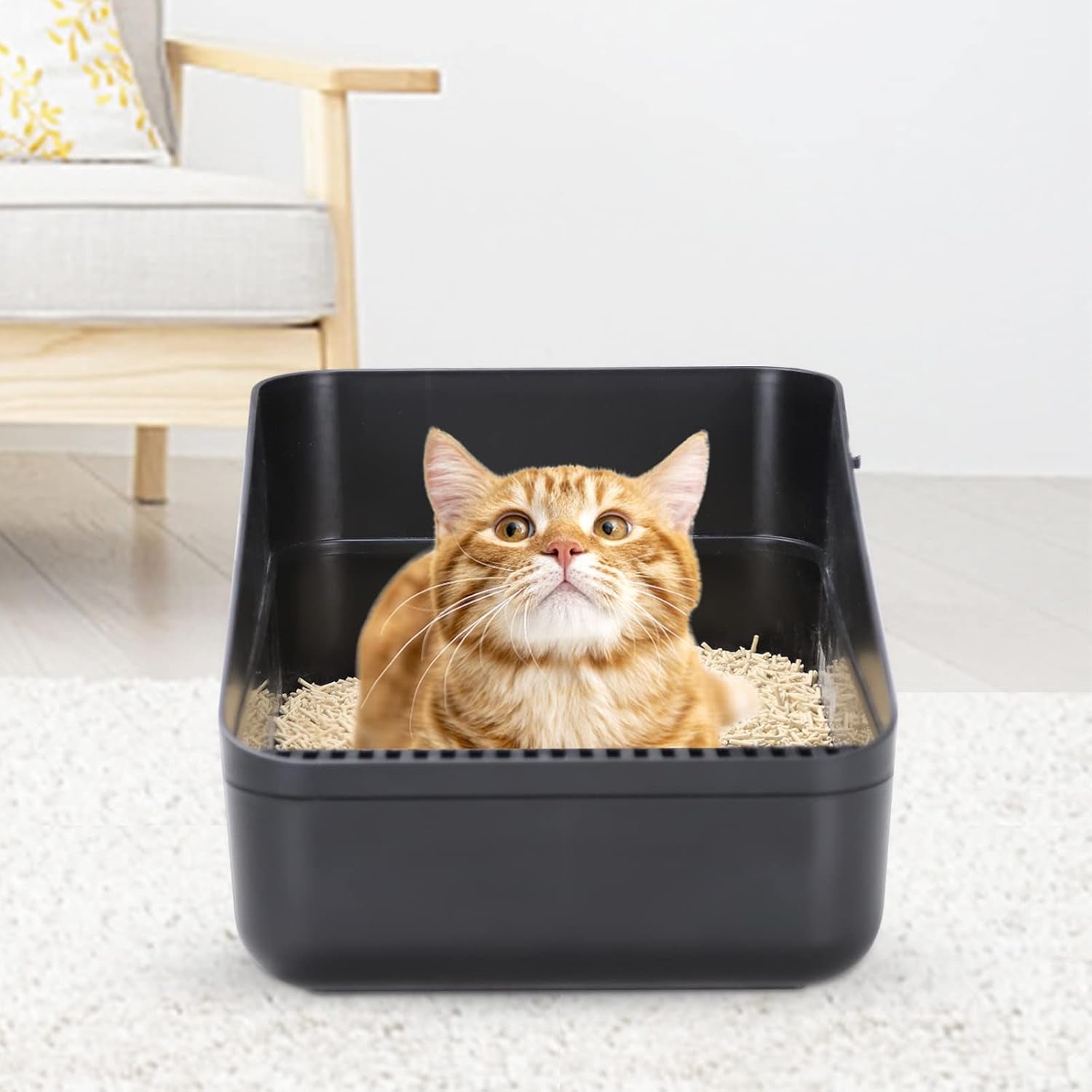 Open Litter Box, High Side Sifting (Black Small)