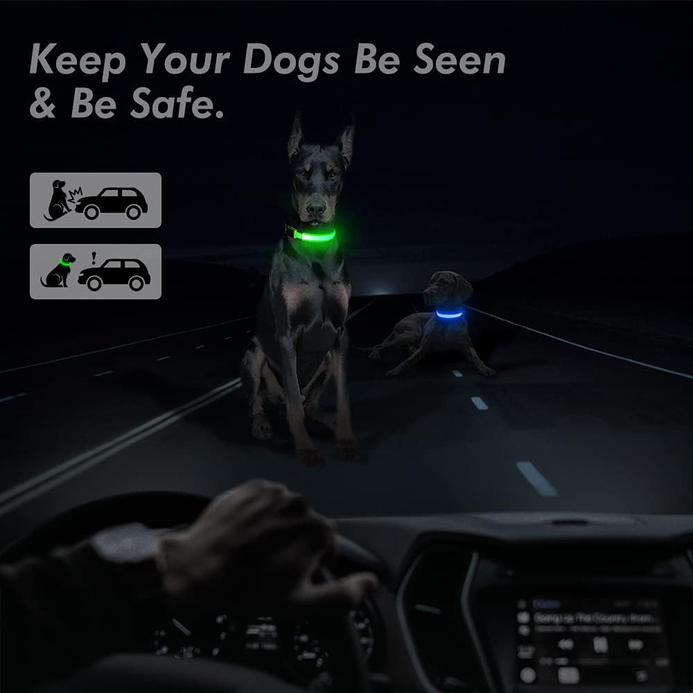 Light Up Safety Dog Collar, Rechargeable LED Dog Collar (Neon Green, Medium)