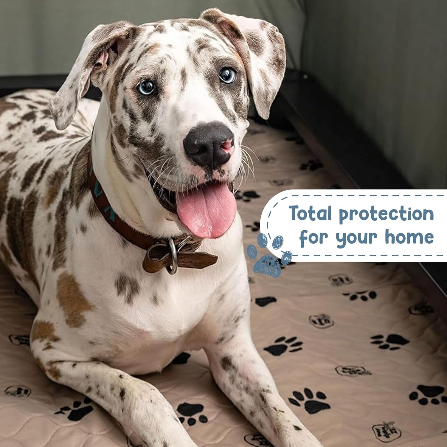 Premium Reusable Dog Pee Pads - Washable Waterproof Potty Training Mats, 2 Pack (16.5x19.5 Inch) with Rounded Corners