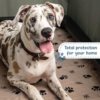 Premium Reusable Dog Pee Pads - Washable Waterproof Potty Training Mats, 2 Pack (16.5x19.5 Inch) with Rounded Corners